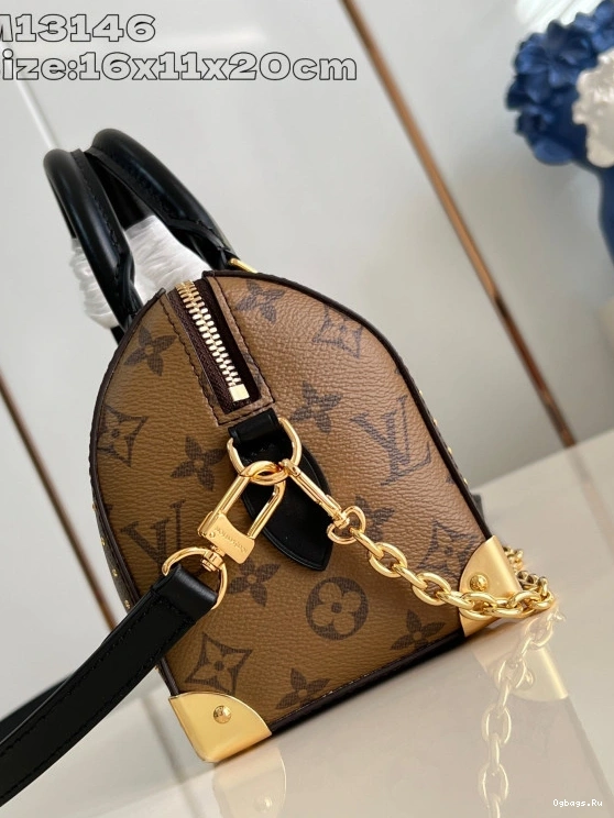 Speedy Vuitton 20 Louis Trunk 0124